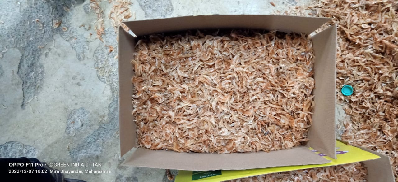 Dry Fish Export India