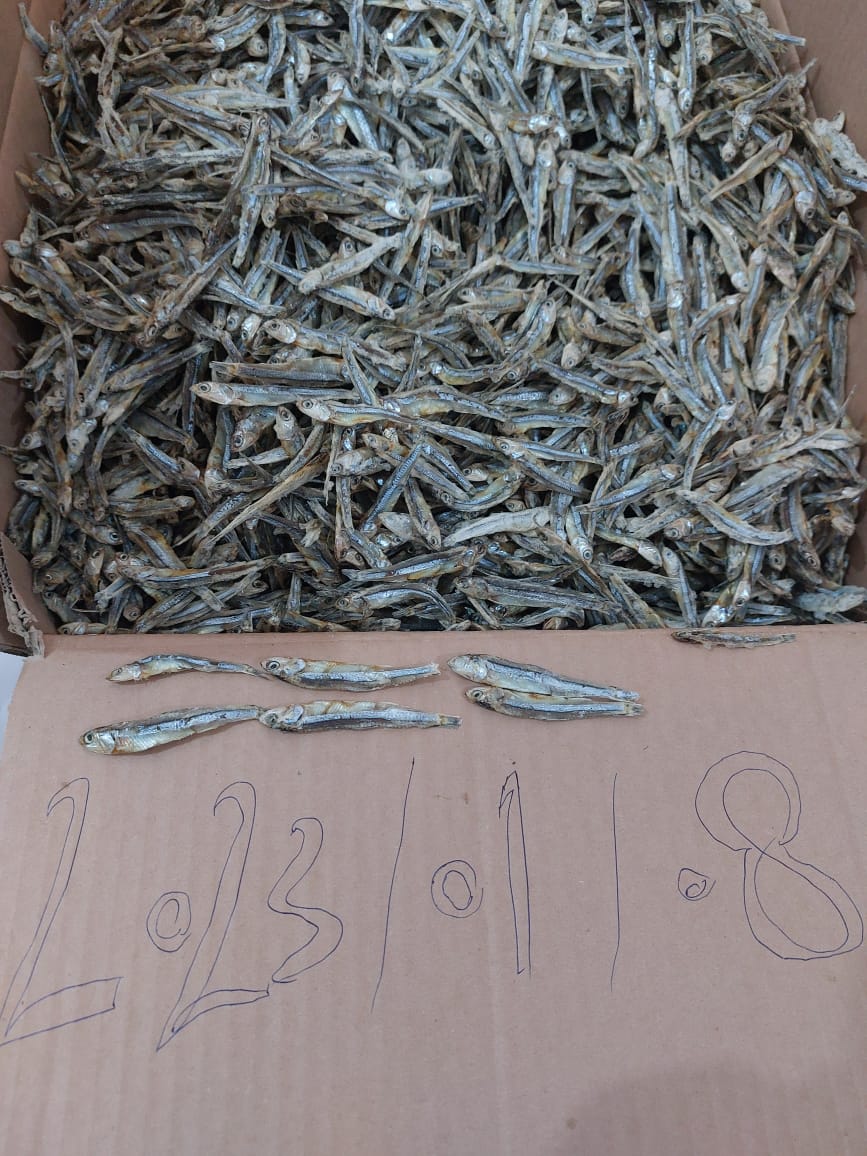 Dry Fish Export India