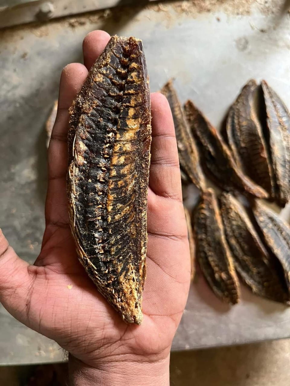 Dry Fish Export India
