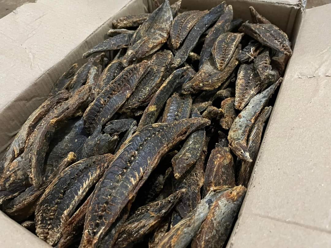 Dry Fish Export India