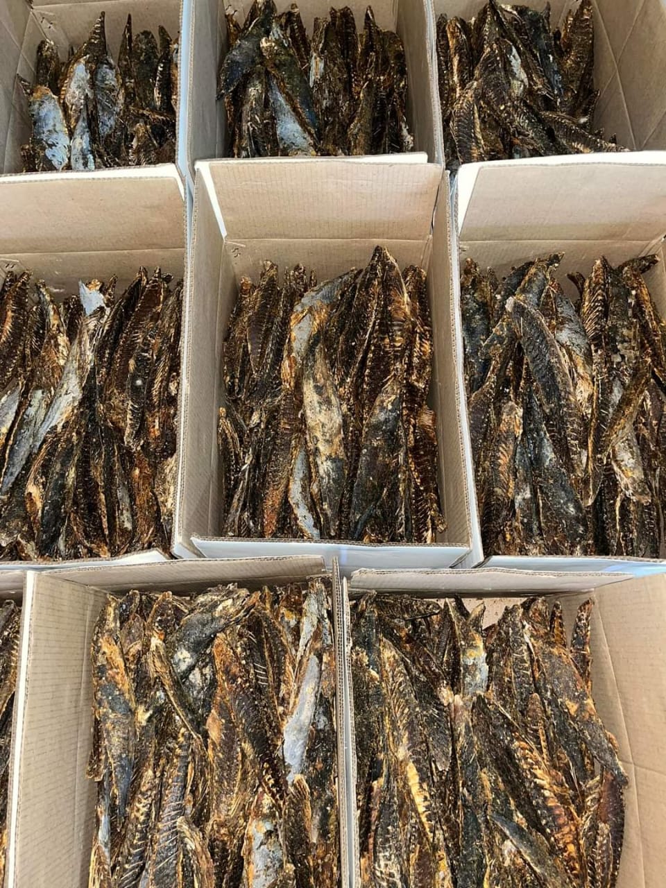 Dry Fish Export India