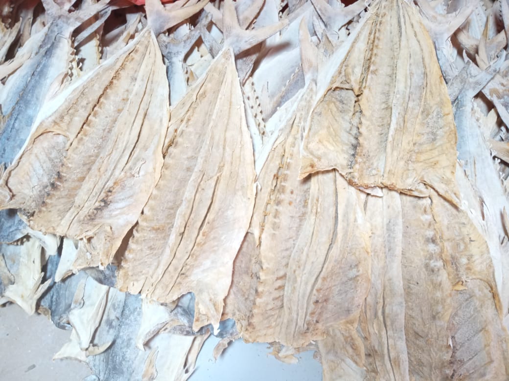 Dry Fish Export India
