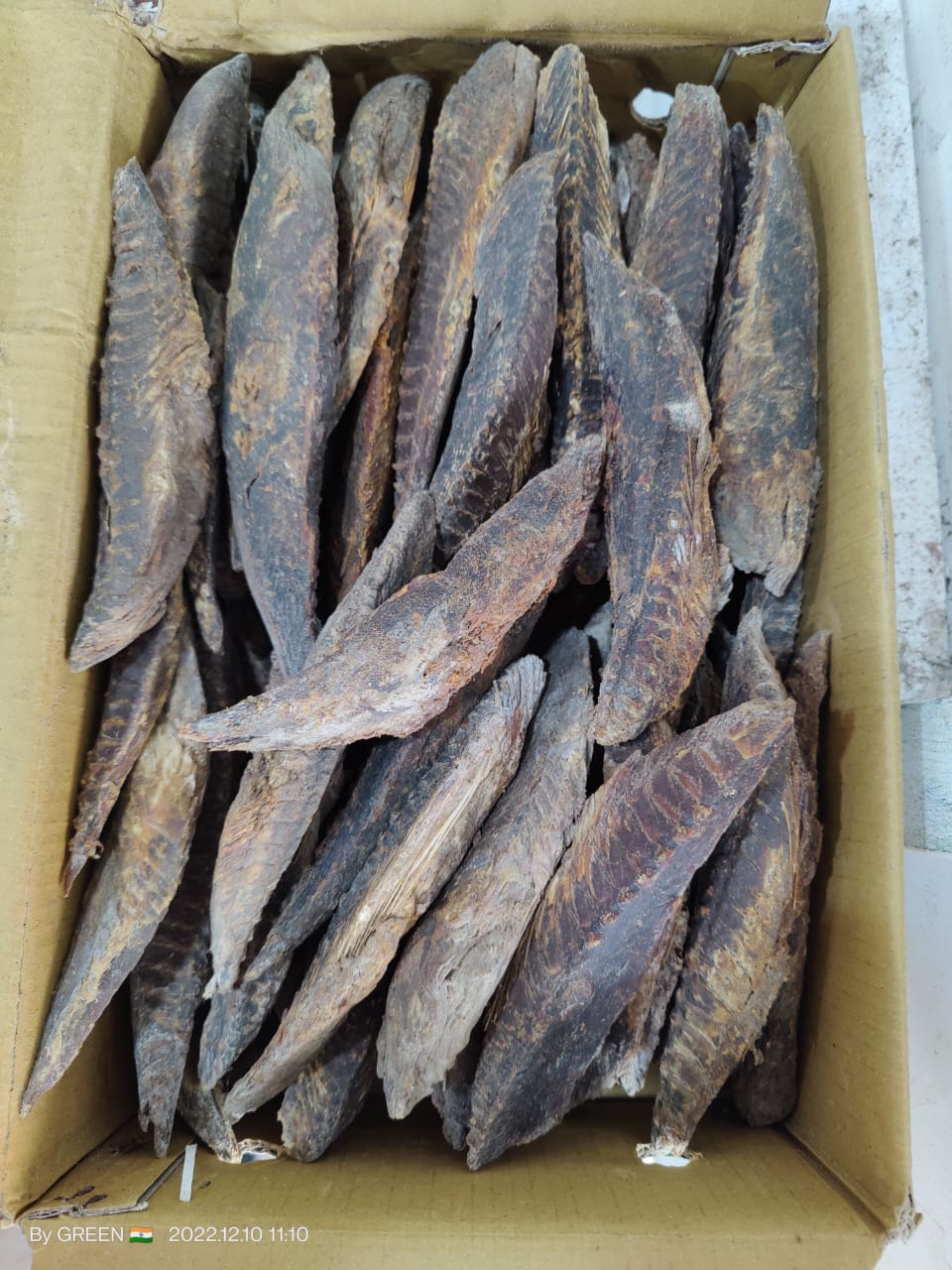 Dry Fish Export India