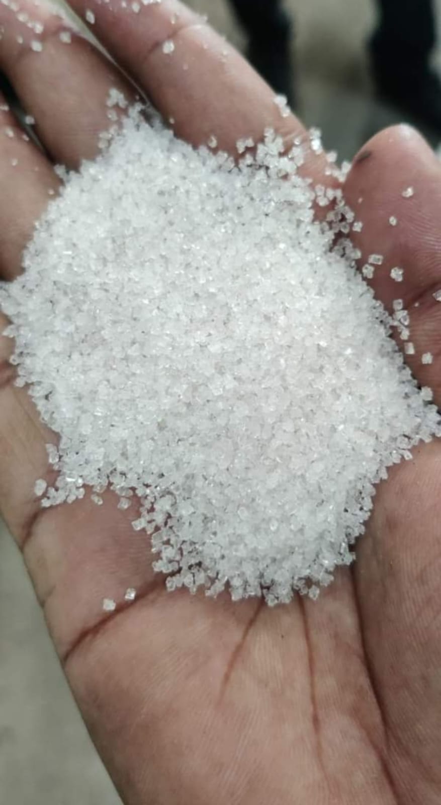 Dry Fish Export India