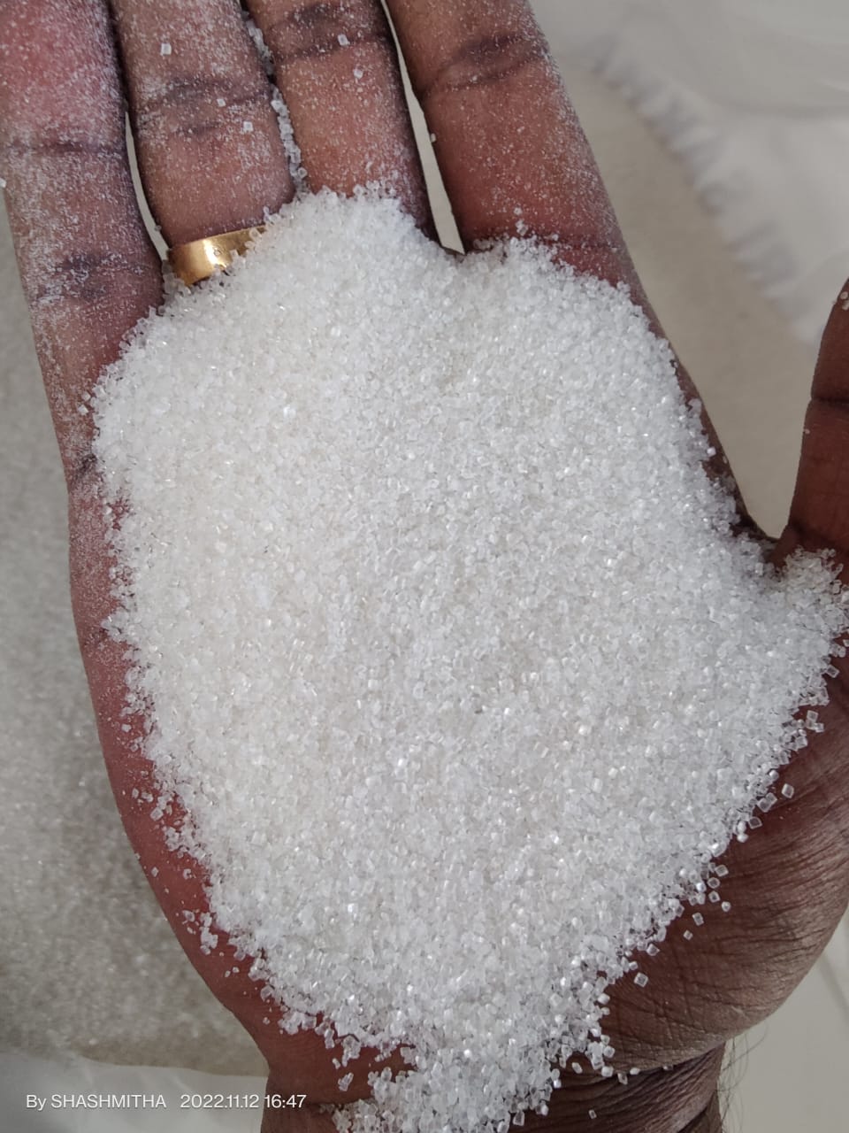 Dry Fish Export India