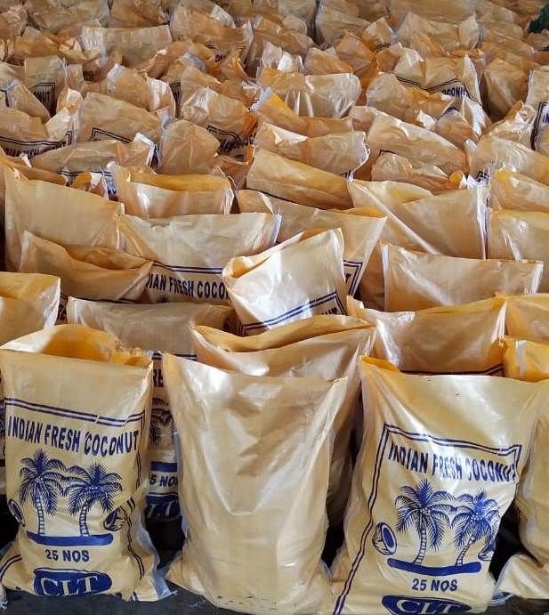 Dry Fish Export India
