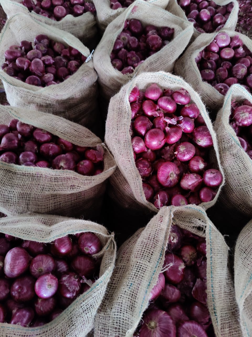 Dry Fish Export India