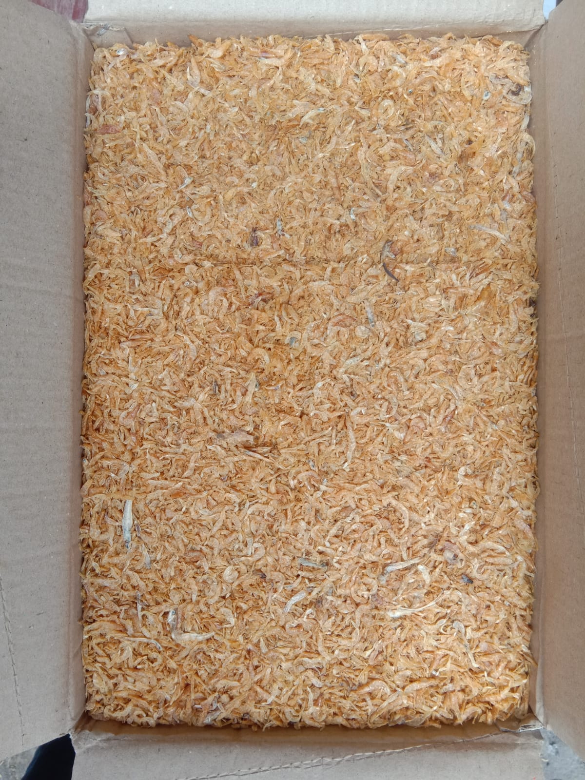 Dry Fish Export India