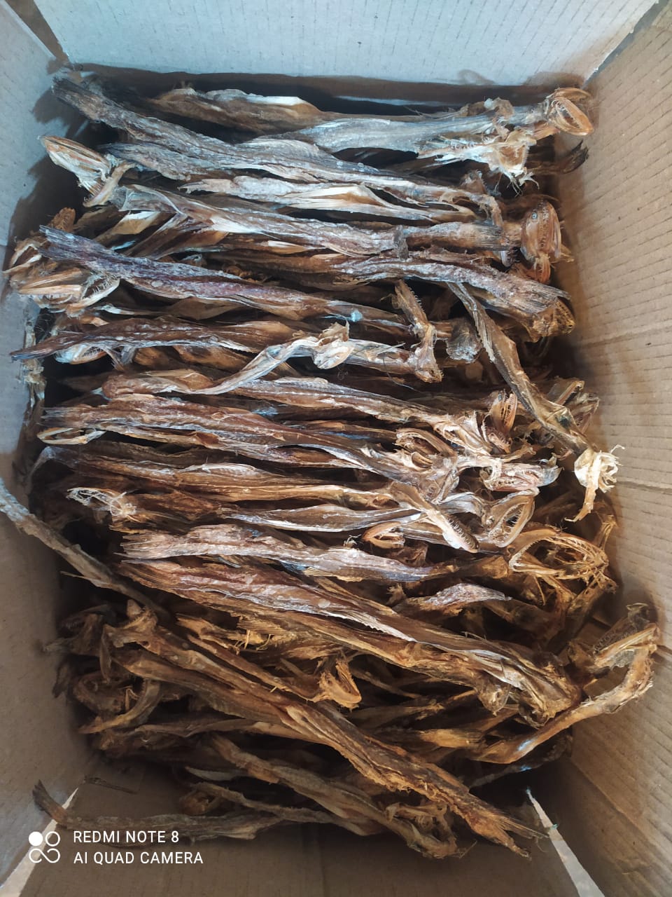 Dry Fish Export India