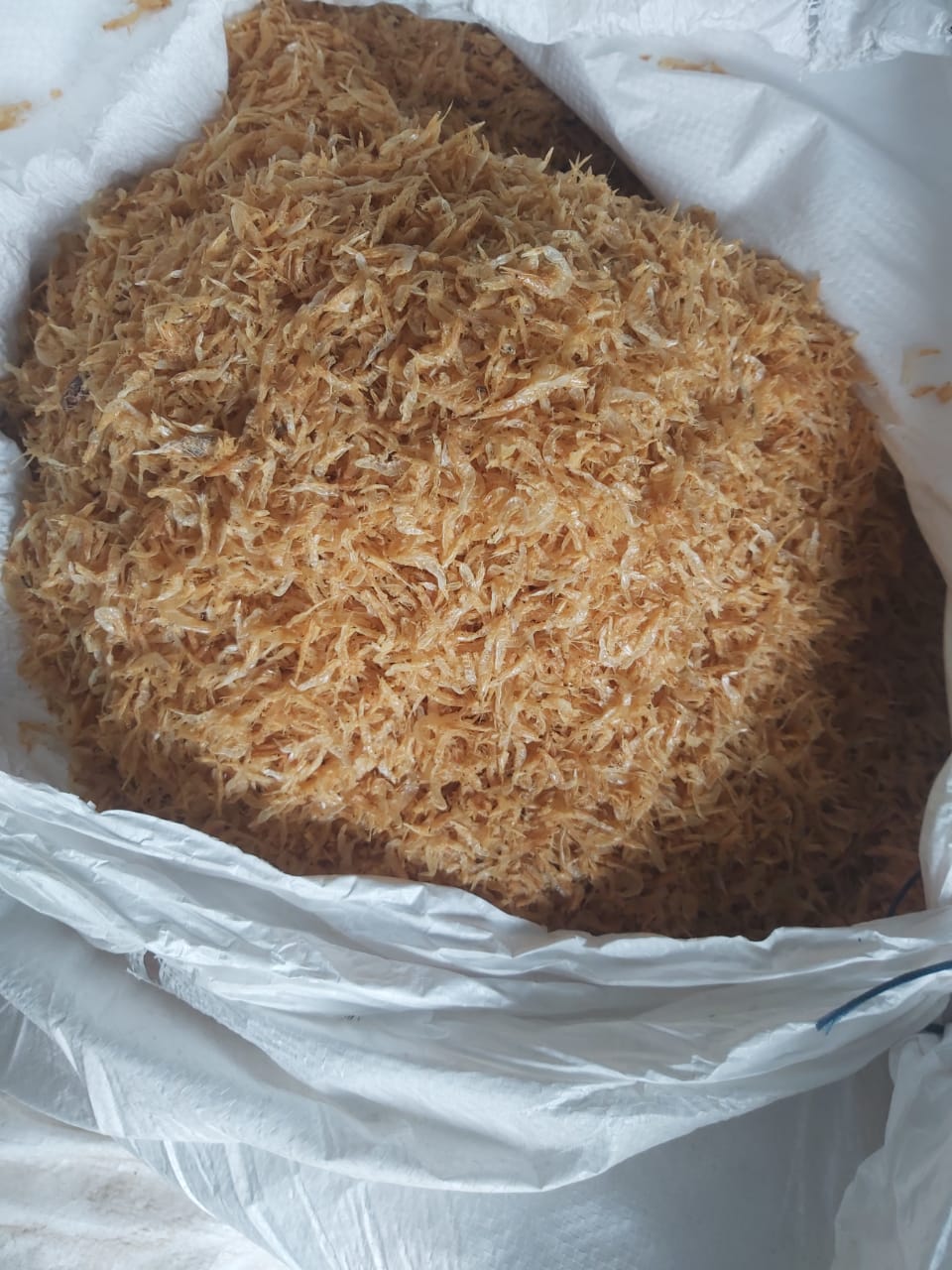 Dry Fish Export India