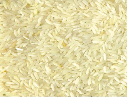 Dry Fish Export India
