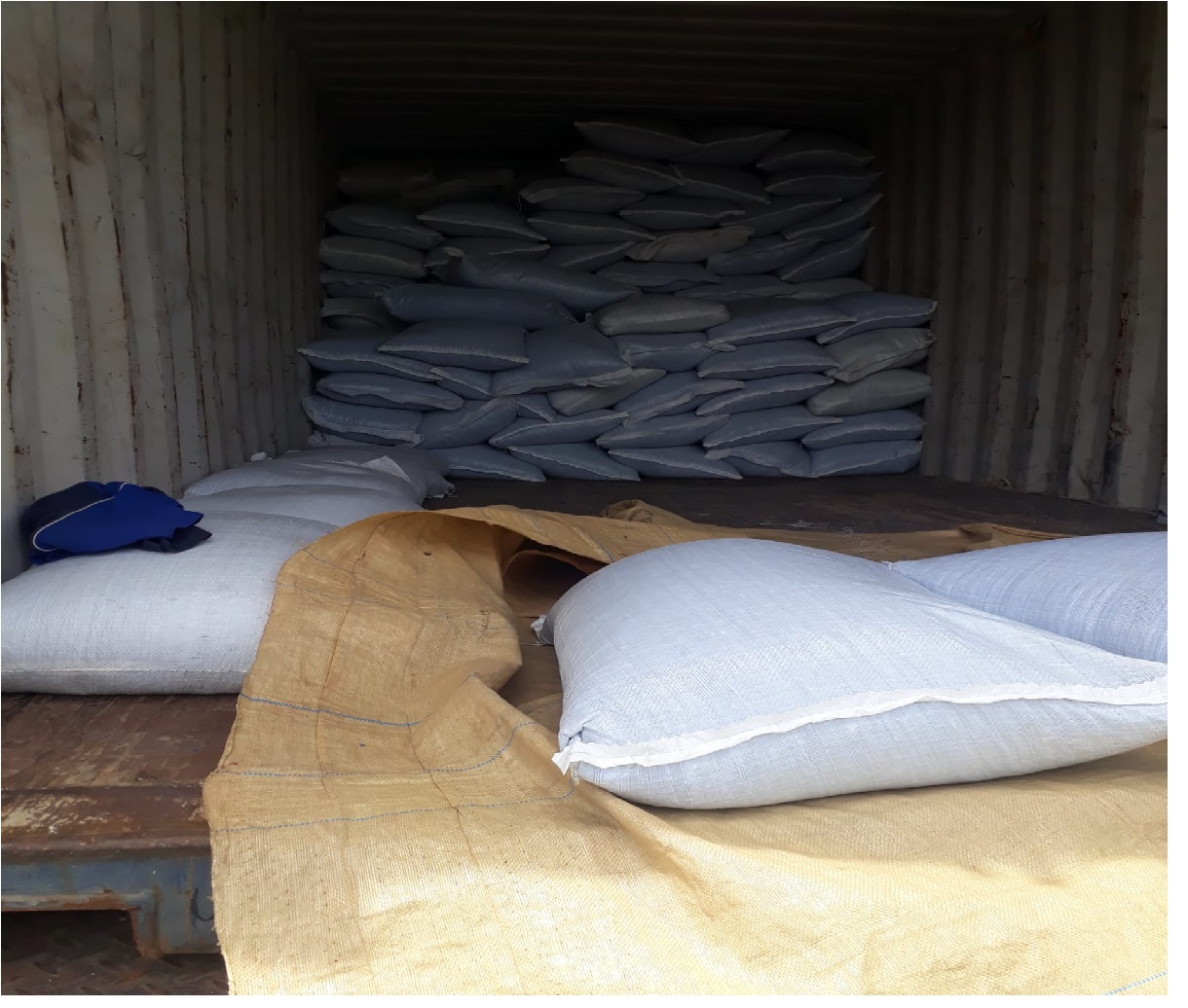 Dry Fish Export India