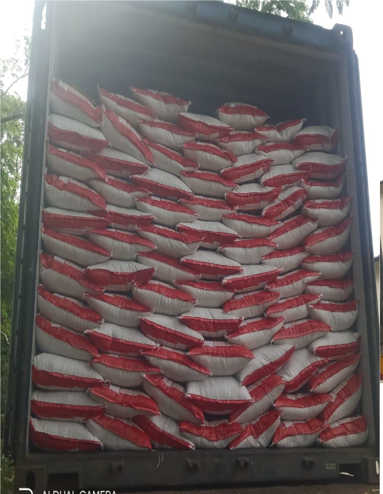 Dry Fish Export India